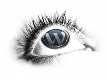 Wordpress Customisation